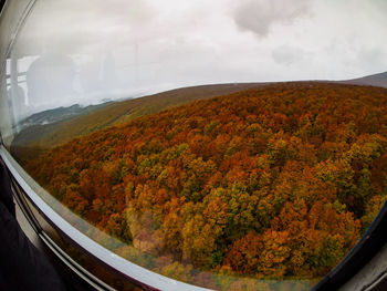 High angle view of trees on landscape against sky