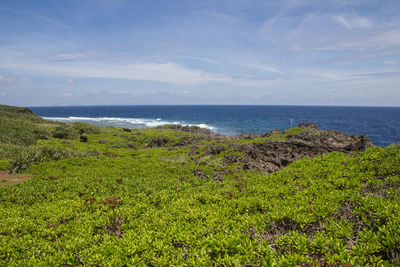 Scenic view of sea against sky