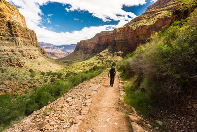 Rear view of man walking in mountains