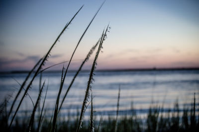 Scenic view of sea against clear sky during sunset
