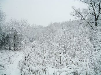 Snow covered landscape against clear sky