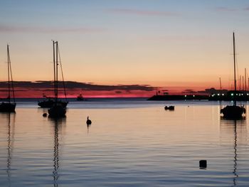 Sailboats in marina at sunset