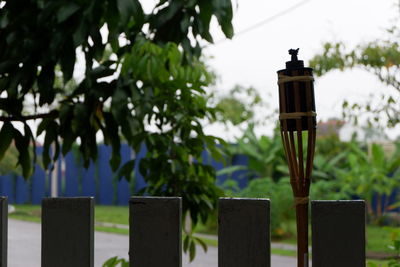 Close-up of wooden post in park