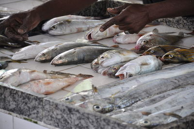 Close-up of fish for sale in market