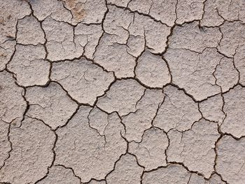 Dry soil with lots of cracks