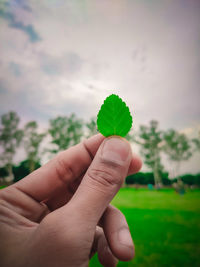 Close-up of hand holding plant against sky