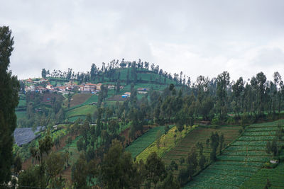 Panoramic shot of agricultural field against sky