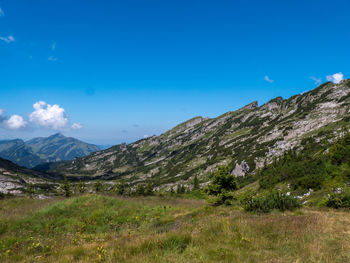 Scenic view of field against blue sky