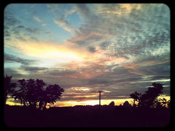 Silhouette of trees at sunset