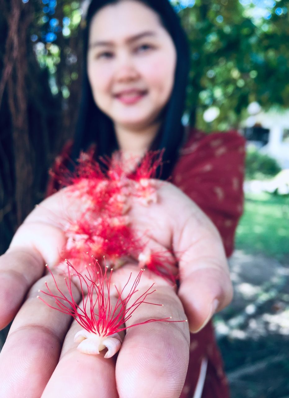 red, one person, women, holding, female, adult, pink, flower, hand, smiling, nature, skin, focus on foreground, plant, young adult, portrait, emotion, happiness, tree, looking at camera, person, day, outdoors, front view, freshness, close-up, lifestyles, petal, child, human leg, finger