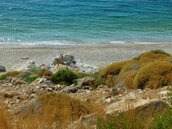 Scenic view of sea shore