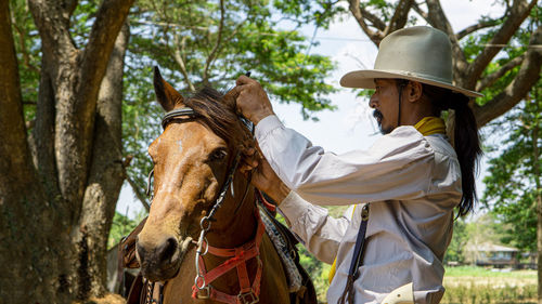 View of a horse on a tree