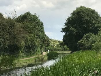 Scenic view of lake by trees against sky