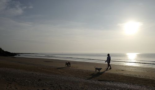 Scenic view of beach against sky during sunset