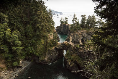 Scenic view of river amidst trees against sky