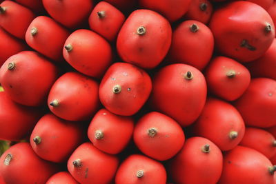 Detail shot of tomatoes