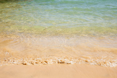 High angle view of surf on beach