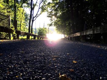 Sun shining through trees in park