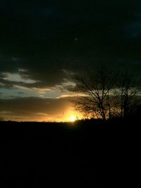 Silhouette trees on landscape against sky at sunset