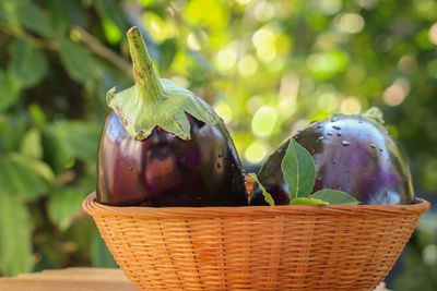 Close-up of fruits in basket