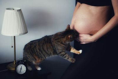 Midsection of woman with cat at home