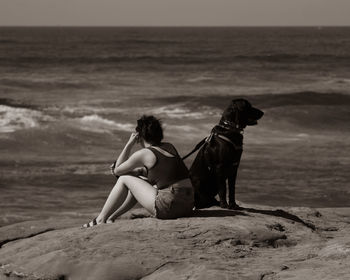 Rear view of dog on beach
