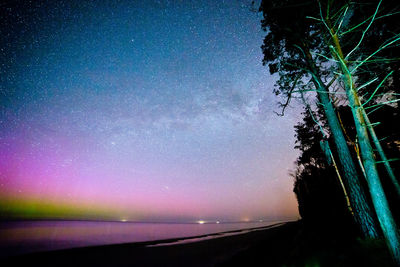 Scenic view of tree against sky at night