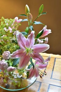 Close-up of pink flowers