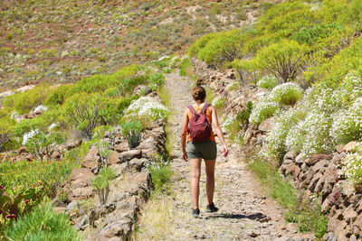 Rear view of woman standing on rock