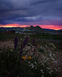 Scenic view of landscape against sky during sunset