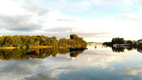 Reflection of trees in calm lake