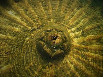 Full frame shot of water