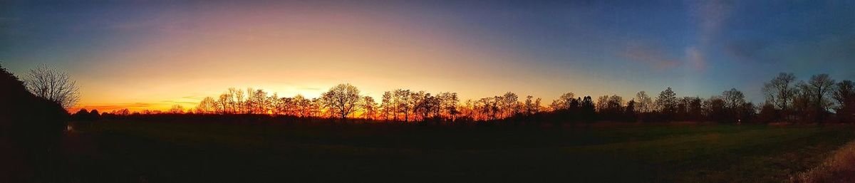 Silhouette trees on field against sky during sunset