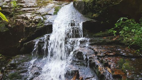 Waterfall in forest