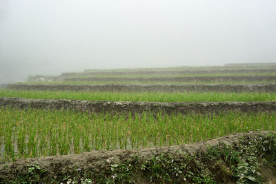 Scenic view of field against sky during rainy season