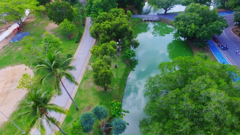 HIGH ANGLE VIEW OF TREES AMIDST CITY