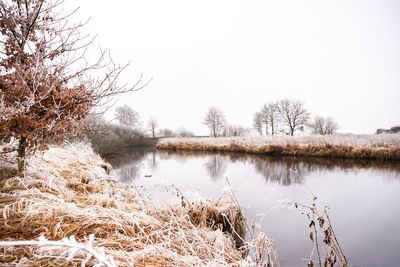 Scenic view of lake against clear sky during winter