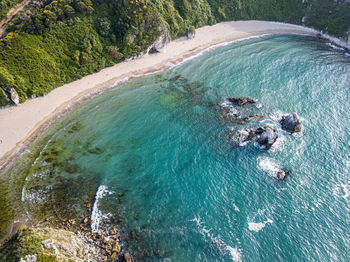 High angle view of sea and trees