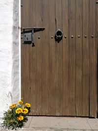 Close-up of yellow flowers on wooden door