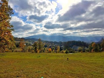 Scenic view of field against sky