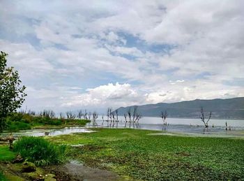 Scenic view of grassy field against cloudy sky