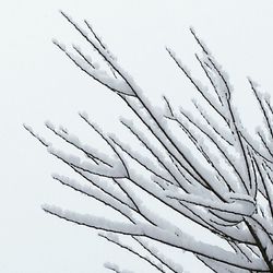 Close-up of snow against clear sky