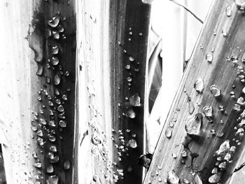 Close-up of wet glass door in rainy season