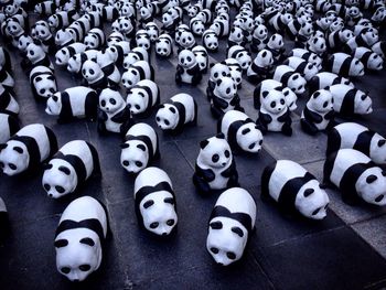 High angle view of panda figurines on floor