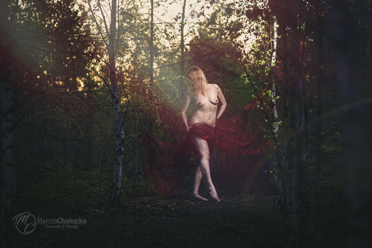 tree, plant, full length, real people, nature, forest, one person, leisure activity, shirtless, women, lifestyles, land, day, females, outdoors, fun, standing, men