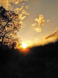 Silhouette trees against sky during sunset