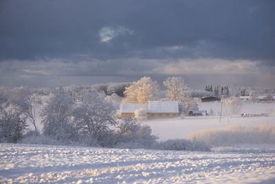 Winter morning landscape with snow covered trees,fog and blue cloudy sky