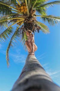 Woman sitting in palm tree looking away from camera