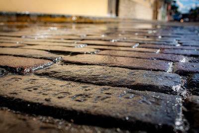 Close-up of wet wood on footpath