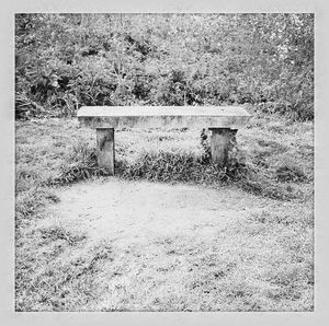 Trees on grassy field